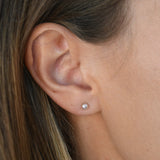 Pink Pearl Stud Earrings - Livetta - 