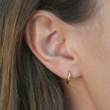 Gold signature huggies Livetta