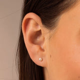 White Pearl Stud Earrings - Livetta - 